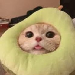 Դայան Մարիամ